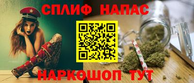 стаф Сланцы