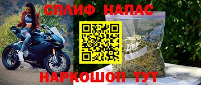 стаф Сланцы