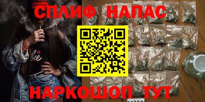 стаф Сланцы