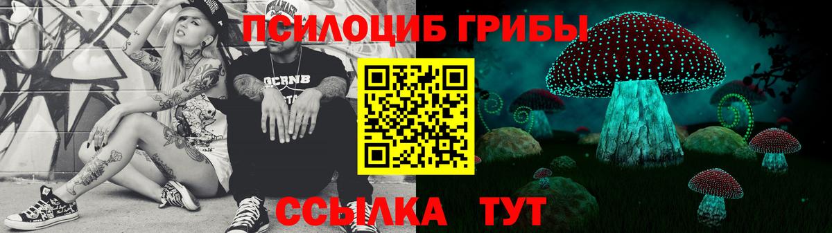 Псилоцибиновые грибы Psilocybe Родники